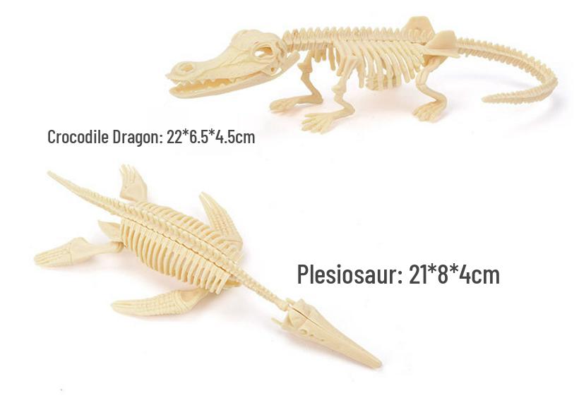 DIY Dinosaur Fossil Excavation Toy: Tyrannosaurus & Triceratops Skeleton Models for Kids