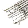 1 pezzo Direttore di legature ortodontiche dentali Doppie estremità Curvo con scaler Fine Stretto Strumento Strumento per dentista