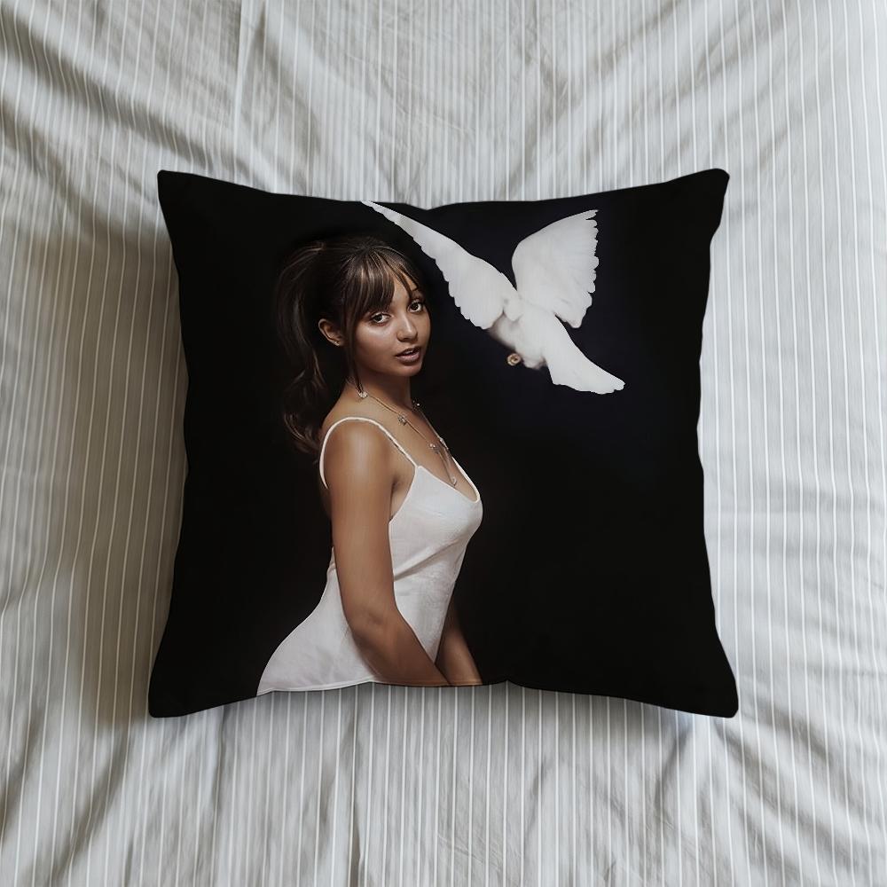 Наволочка Мягкий Чехол Диван Гостиная Розовая Пантера Певец Дом Удобный Британский Офис Декор Защитные Чехлы для Подушек 30cmx30cm