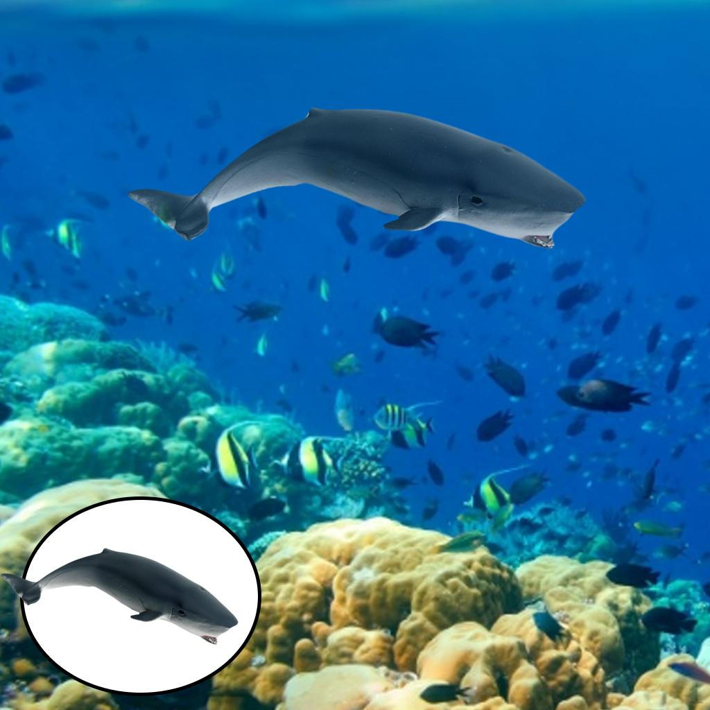 Action Figures Hand-Painted Creature Shark Sea Life Marine Toys Decorative Gifts for Kids Sperm Whale F