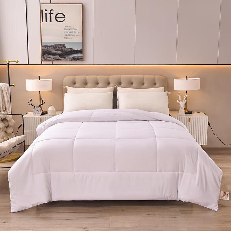 

DZQ All-Season White Duvet Insert 150x200cm