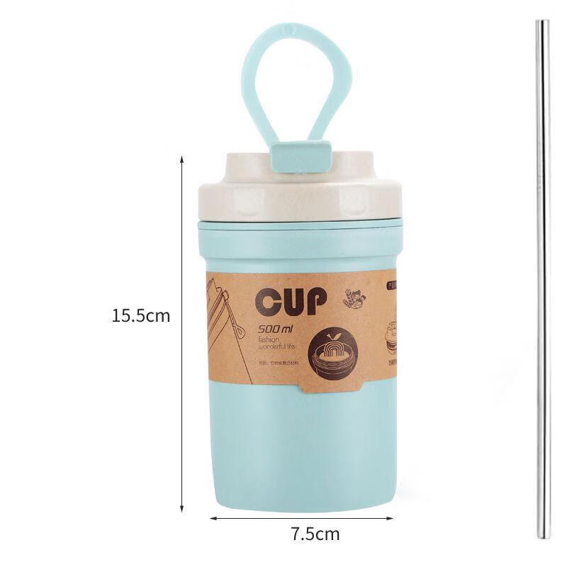 Qianxing Portable Plastic Mug with Steel Straw, 500ml