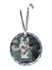 Picardy Sheepdog, Berger Picard - Crystal Bauble with a Photo, Dog Photo In Crystal, Personalized Christmas Tree Ornament by Brand
