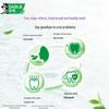 Darlie Tea Care Thyme Longjing Toothpaste 3-Pack