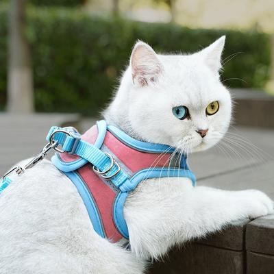 Colete Refletivo Tipo Peitoral para Gato Anti-Fuga Guia para Passeio de Gato Ajustável Respirável Peitoral para Pet