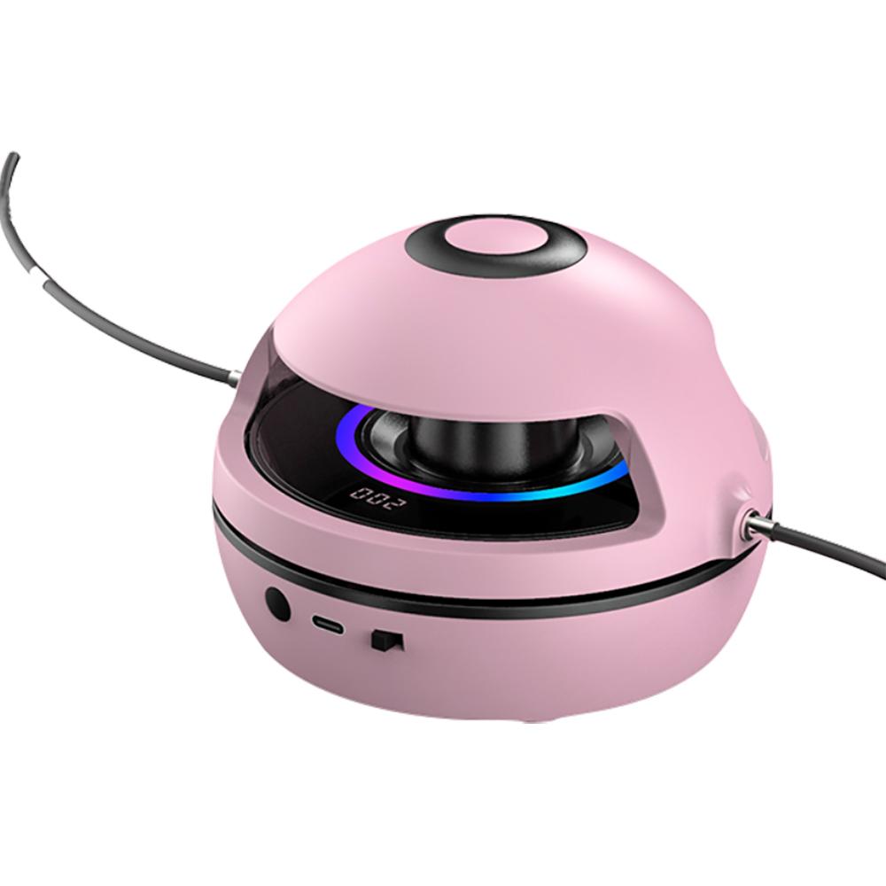 Intelligent Automatic Electric Rope Skipping Machine Remote Control Digital Counting Rope Skipping Machine for Children's Fitn Practical Use