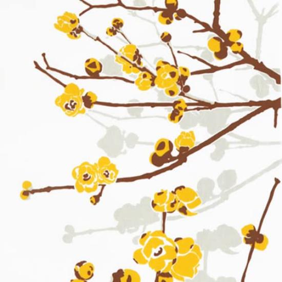 Anbo Dyeing Hand Towel Authentic Dyed Cotton Tokuoka Made in Japan 35cm x 100cm "Wintersweet Flowers" 100%