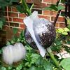 Plant Rooting Vermeerderingsdoos met Layering Pods voor Enten en Klonen