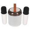 Wireless Karaoke Speakers RGB Light  5.3 Speaker with 2 Wireless Microphones Portable Karaoke Machine for Family Party