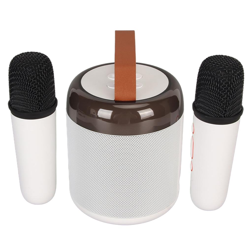 Wireless Karaoke Speakers RGB Light  5.3 Speaker with 2 Wireless Microphones Portable Karaoke Machine for Family Party