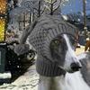 Knitted Dog Hat, Pom-Pom Pet Soft Polyester Hat with Ear Flaps, Windproof, Suitable for