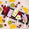 Foremka na lody sorbet forma do lodów na patyku silikonowa z pokrywką TWIST ORION 151799