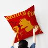 F-Fontaines D.C. Romance Pillow Cushion Cover Pillowcase Living Room Sofa Home Decor Customized