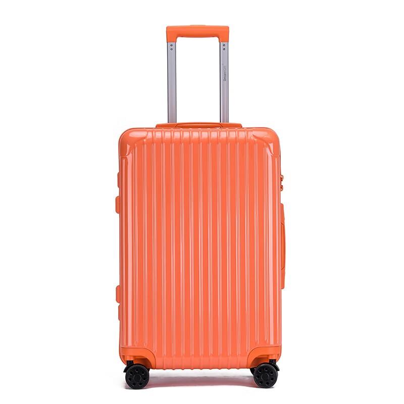 DREAMGIFT DG9013 ABS+PC Hardside Spinner Luggage