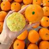Handmade Orange Squeeze Toy Sensory Blocks Filled Fidget Novelty Squishy Crunchy  Kid Adults