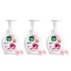 Dettol Foam Antibacterial Hand Wash Strawberry Bear Limited Edition