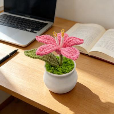 Crochet Potted Plants Artificial Knitted Lily Flower with Pot Handmade Flower Gift for Mom Teacher Women Friends Birthday Anniversary