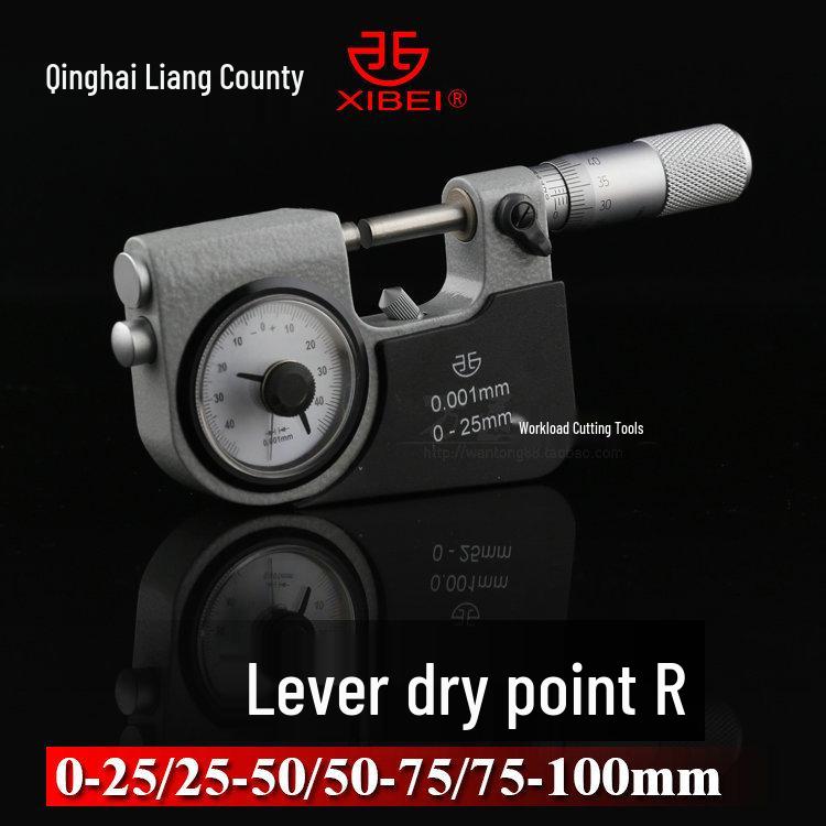 Free Shipping Precision Qinghai Watch Lever Micrometer 0-25mm 0-25mm
