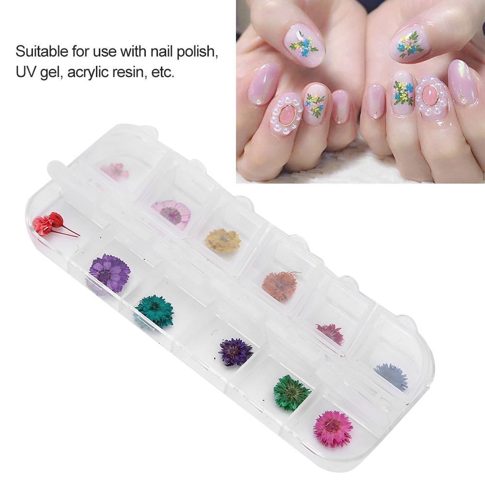 12 Colors  Box Dried Flower Nail Decoration DIY Nail Art Decoration AccessoriesD Style
