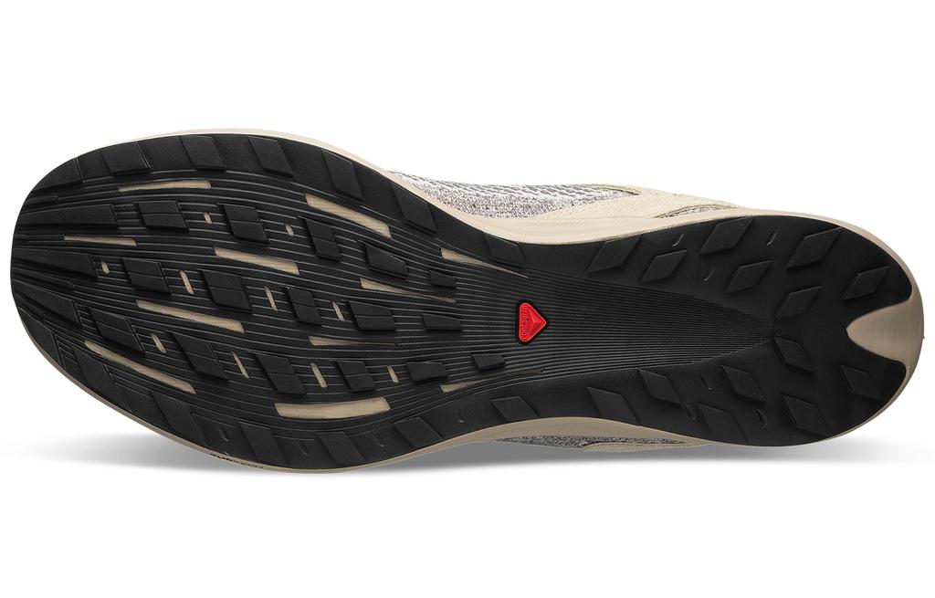 SALOMON Pulsar Prg Knit 'Gray Brown'