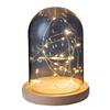 LED Sea Urchin Night Light with Preserved Flower in Glass Cover
