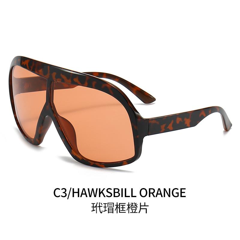 JYL TS Sunglasses Cat Eye Color Large 9593/89177 B-4643 puce