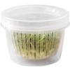 Refrigerator Small Ingredients Round Vegetable Preparation with Lid Drain Kitchen Onion, Ginger and Garlic Cooler