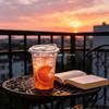 10/50PCS 500ml Clear PET Plastic Cups with Lids Disposable Cold Drink Cups for Coffee Bubble Tea and Smoothies DO NOT HAVE STRAW