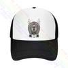 Royal Blood Baseball Cap Snapback Caps Knitted Bucket Hat