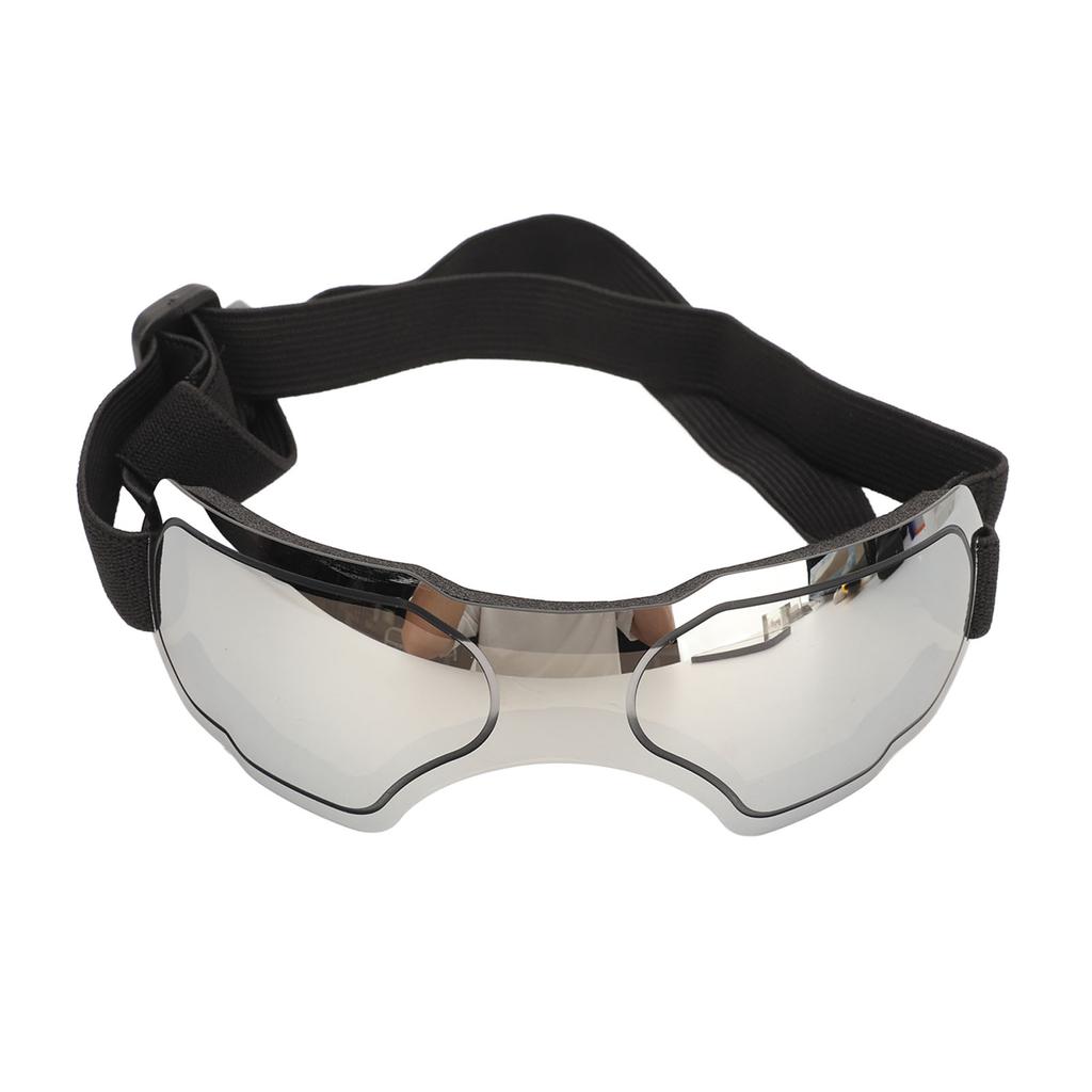 Hundebrille Wind- und UV-Schutz Haustierbrille Staubdichte Sonnenbrille für mittelgroße und große Hunde Silber