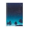 MIDORI Diary Starry Sky Pattern 12389006