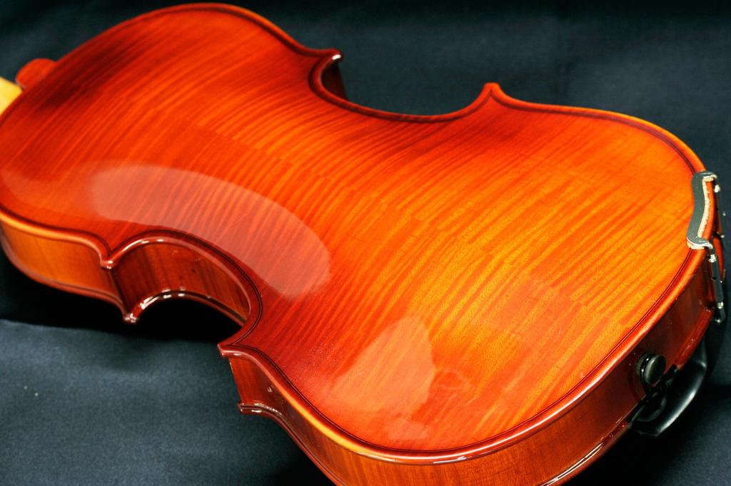 STENTOR Violin Set Product Handled by a Japanese SV-320 4/4 [Reliable Company]