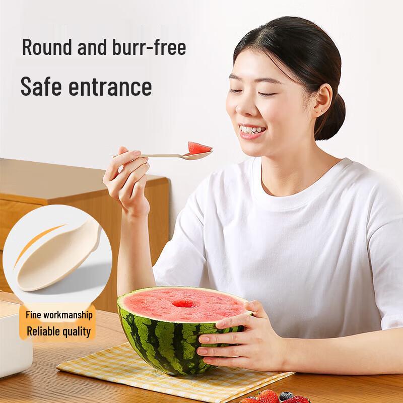 Meiliya Biodegradable Disposable Food Grade Spoons