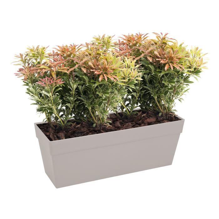 ELHO Flower Box/Planter Loft Urban - 49 X 17.3 X 18 Cm - Anthracite Grey