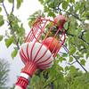 High-Altitude Telescopic Fruit Picker Basket - New Model for Peach and Vineyard Gardening.