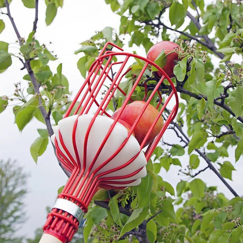 High-Altitude Telescopic Fruit Picker Basket - New Model for Peach and Vineyard Gardening.