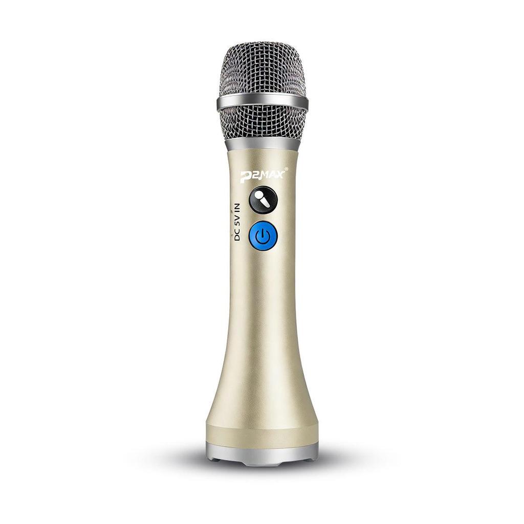 Wireless Noise Reduction Microphone for Home Karaoke and Live Streaming