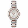 Women's Silhouette Crystal 31mm Two Tone Steel Bracelet Steel Case Eco-Drive Watch FE1196-57A