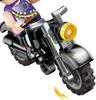 Cogo3920 Police and Thief