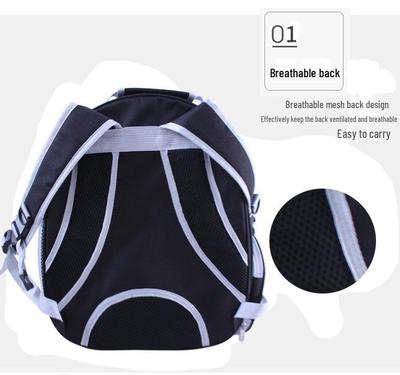 Portable Transparent Space Capsule Pet Backpack for Cats