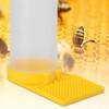Honey Bee Nest Door Water Feeder Safe Beekeeping Tools Transparent Beekeeping Water Dispenser