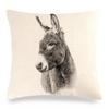 Home Decor Donkey Art: Various Scenes and Portraits Pattern Cushion Cover Suitable for Sofa Bedroom Car Pillow Cover