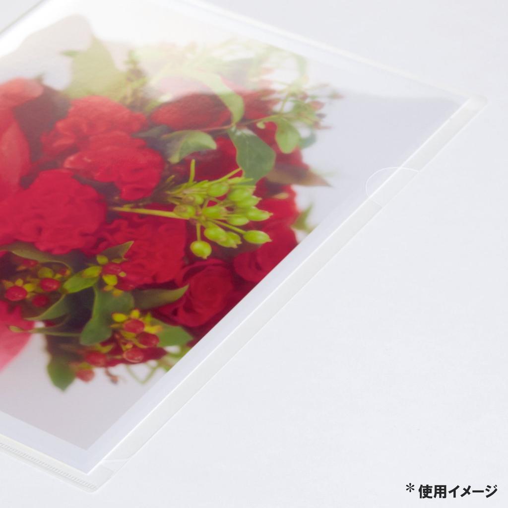 Plus Clear Folder 10 Sheets 0.2mm (Rounded Corners) FL-188HO 89-178