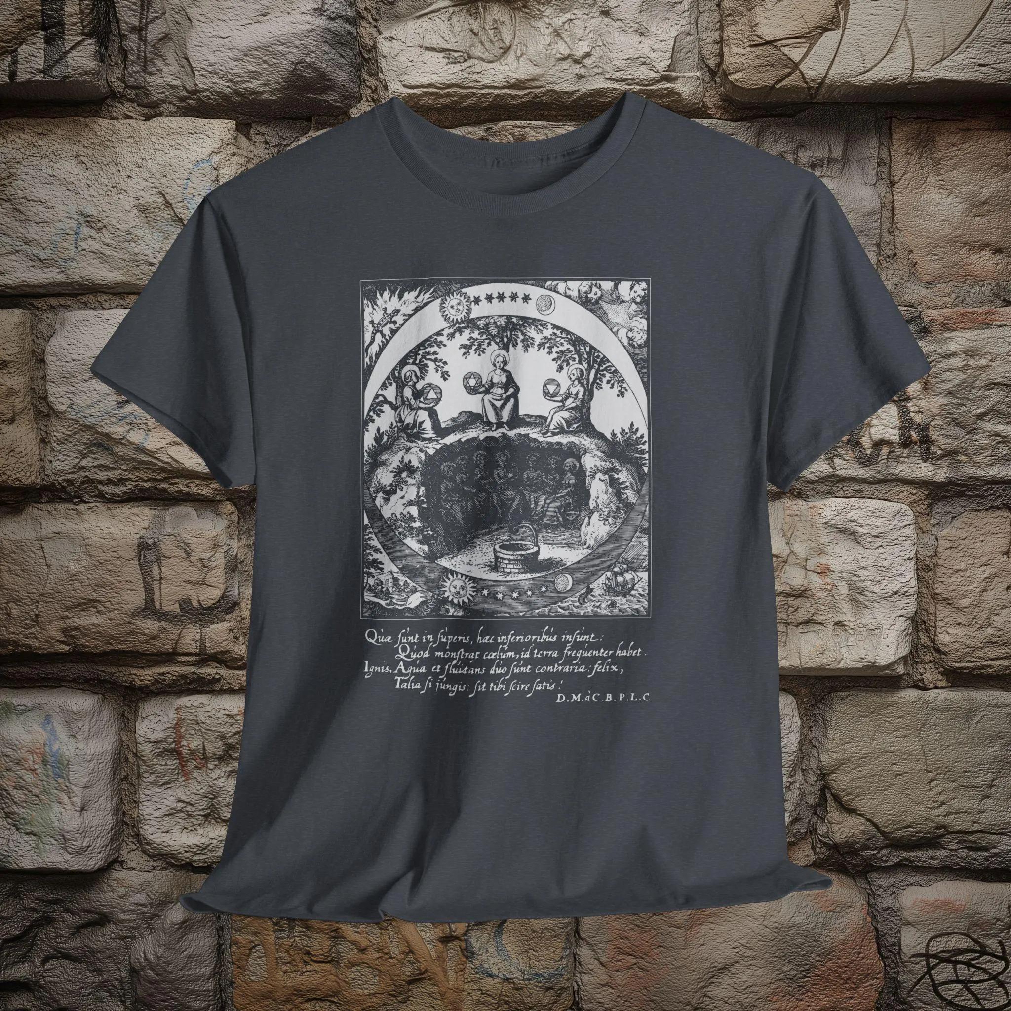 

Lucas Jennis Musæum Hermeticum Reformatum Et Amplificatum 1678 Seven Hermetic Principles Unisex Tshirt Graphic T Shirts Retro S