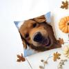 LLabrador Retriever Cushion Cover Washable Linen Pillowcase Soft  for Daily Sofa Bed Home Room Decor