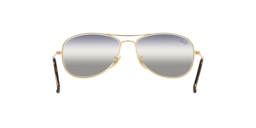 ARISTA 56 Sunglasses RB3362 Ray-Ban Men's