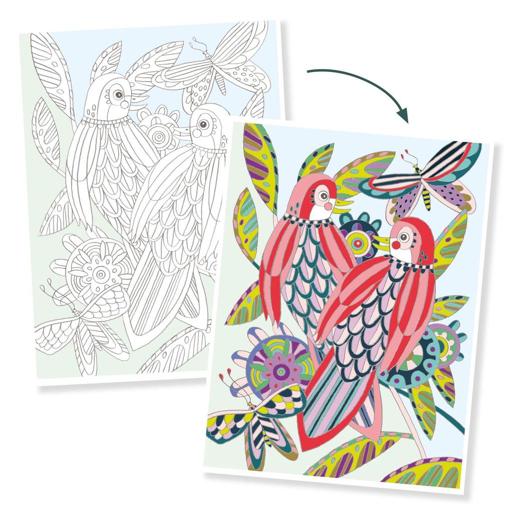 DJECO Coloring Gallery Bird Coloring Set Adult Coloring Patterns A fun hobby for ages and 10 Boys and Girls Perfect for school entrance and - Book