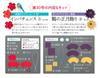 Fun Tsumami Zaiku 30 No. [Encyclopedia] (with kit)