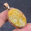 Fossile Koralle Handgefertigter Kupfer Schmuck Anhänger 2,17" c3o57