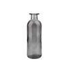 Hydroponic Plant Living Room Glass Bottle Home Decoration Flower Vase Glass Vase Table Decor